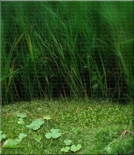 green background - PNG gratuit