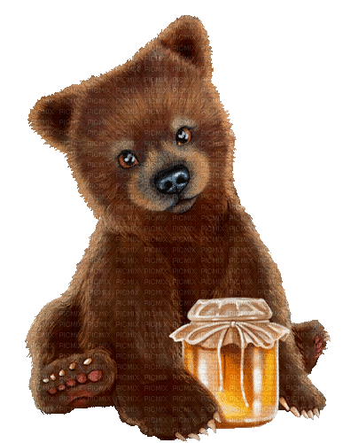 Bär, Honig - Darmowy animowany GIF