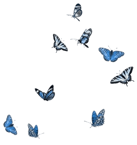 Butterflies ♫{By iskra.filcheva}♫ - zdarma png