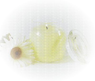 Kaz_Creations Deco Candles Candle - 無料png