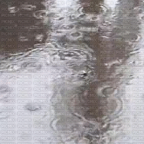 sade, rain - Gratis animerad GIF