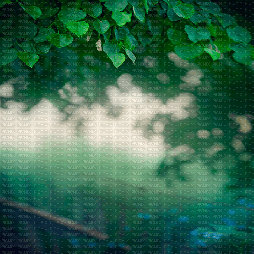 forest background by nataliplus - zadarmo png
