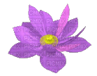 Flower - Gratis geanimeerde GIF