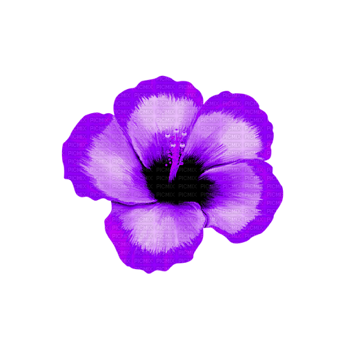 Tropical.Flower.Purple - bezmaksas png