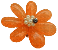 Orange Flower - Free PNG