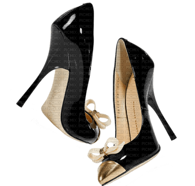 chaussure.Cheyenne63 - nemokama png