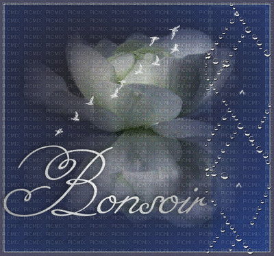 bonsoir - Δωρεάν κινούμενο GIF