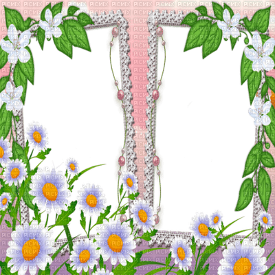 spring printemps flower fleur blossom fleurs blumen  tube frame cadre rahmen overlay - Free PNG