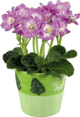 Kaz_Creations Flowers Plant Deco Vase - zadarmo png