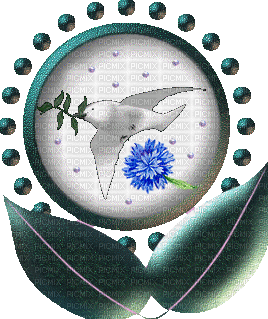 dove flower - GIF animate gratis