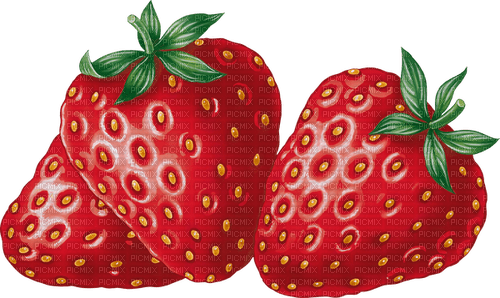 Strawberry  Red Green - Bogusia - Free PNG