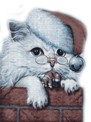 Y.A.M._New year Christmas cat - 免费PNG