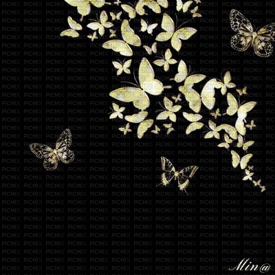 bg-butterflies - ingyenes png