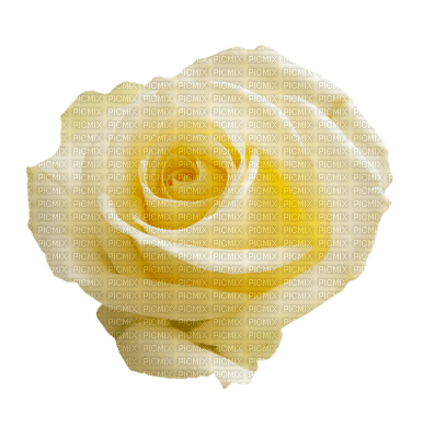 kukka flower fleur ruusu rose - png gratuito