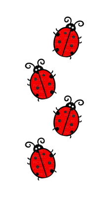 ladybug, leppäkerttu - nemokama png