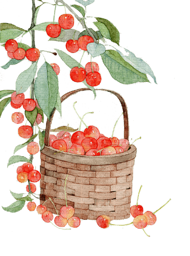 cherries  Bb2 - PNG gratuit
