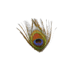 Peacock feather - δωρεάν png