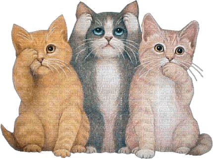 Drei Katzen, Cats - Free PNG