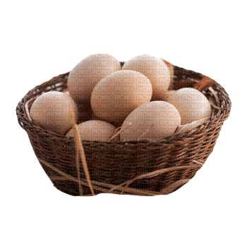 huevos - png gratis