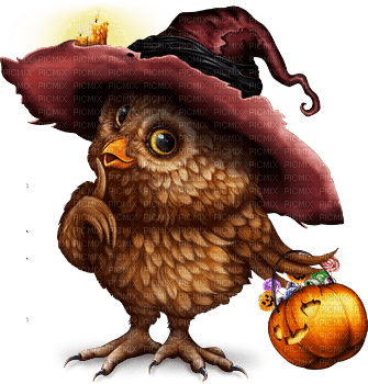halloween owl by nataliplus - png grátis