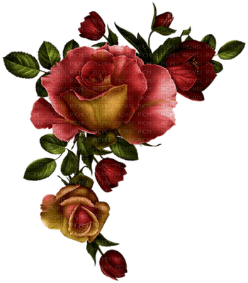 Roses dm19 - δωρεάν png