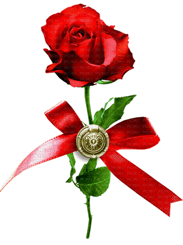 Rose.Red - бесплатно png