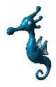seahorse moving - Darmowy animowany GIF