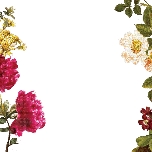 rahmen frame animated flowers milla1959 - Δωρεάν κινούμενο GIF