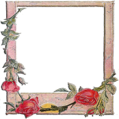 kikkapink pink frame rose roses deco spring - 免费PNG