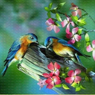 loly33 spring printemps fond  oiseaux birds - gratis png