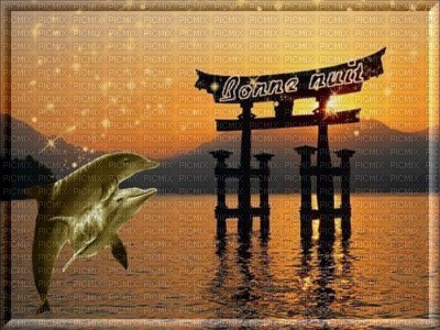 dauphins - PNG gratuit