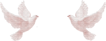 2 doves - Gratis geanimeerde GIF