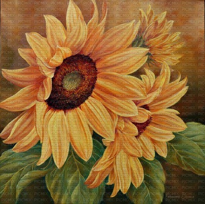 fond autumn automne sunflower - бесплатно png