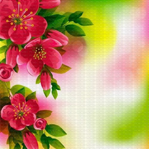 Y.A.M._Spring Summer background - бесплатно png