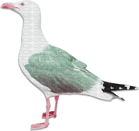 soave deco summer bird pink green - 免费PNG