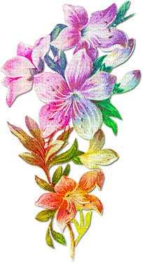 soave deco spring branch flowers vintage rainbow - PNG gratuit