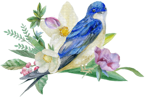 bird, aquarelle, été, fleur, Orabel - фрее пнг