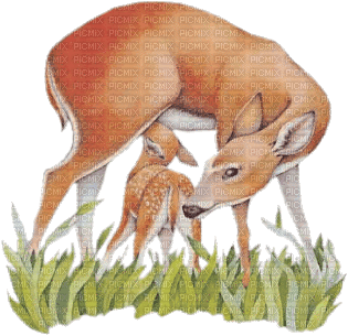 deer bp - Δωρεάν κινούμενο GIF