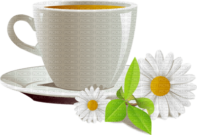 Kaz_Creations Coffee Tea Cup Saucer - besplatni png