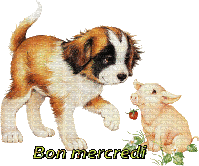 bon mercredi - Bezmaksas animēts GIF