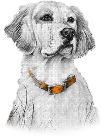 soave animals vintage autumn dog deco white black - PNG gratuit