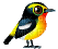 birds katrin - GIF animé gratuit