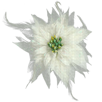 fleur blanche.Cheyenne63 - 免费PNG
