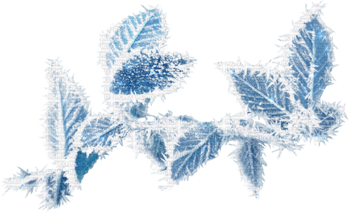 kikkapink deco scrap  winter blue leaves - bezmaksas png