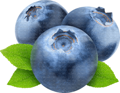 blueberries bp - nemokama png