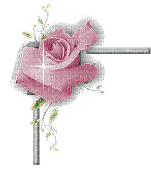 coin rose - 免费PNG