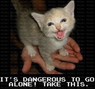 it's dangerous to go alone take this cat meme - ücretsiz png