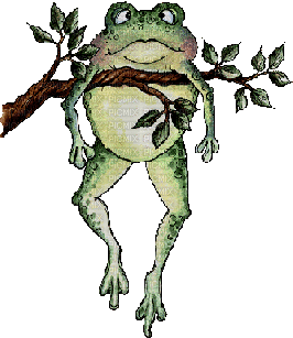 frog frosch grenouille  animal - Бесплатни анимирани ГИФ