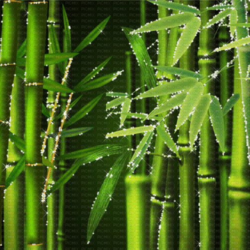bambus milla1959 - GIF animado gratis
