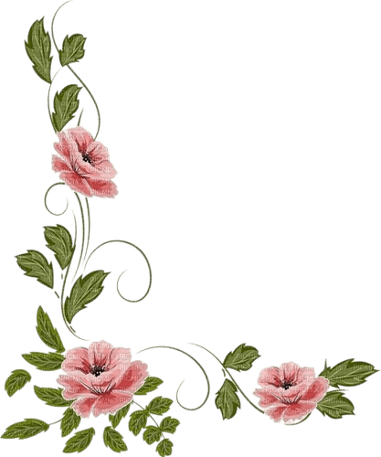 coin cadre fleurs - Free PNG
